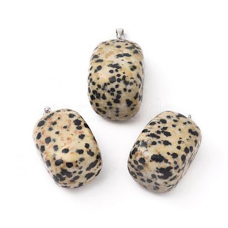 Natural Dalmatian Jasper Pendants G-k302-B21-1