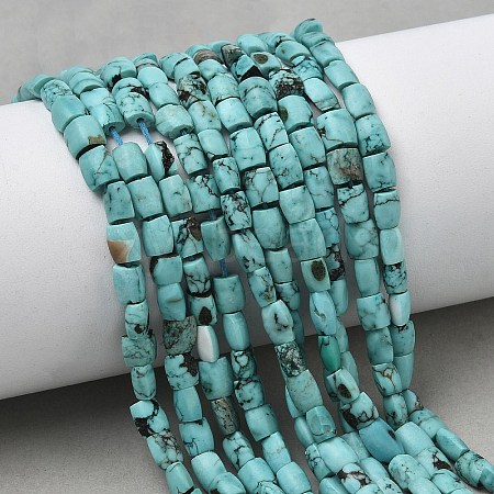 Dyed Natural Crackle Turquoise Beads Strands G-K365-G03-02-1