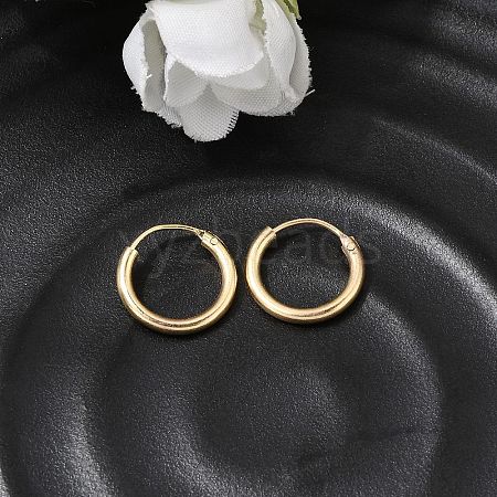 Brass Hoop Earrings EJEW-G474-01G-01-1