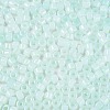 Glass Seed Beads SEED-T008-01E-3