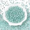 6/0 Baking Paint Transparent Glass Seed Beads SEED-N006-06J-2