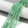 Natural Chrysoprase Beads Strands G-B088-E19-02-2