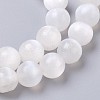 Natural Selenite Beads Strands G-I203-C-6mm-4