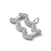 304 Stainless Steel Micro Pave Cubic Zirconia Charms STAS-Z107-09P-01-2