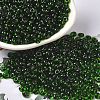 Transparent Colours Glass Seed Beads X1-SEED-P006-02A-01-1