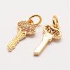 Brass Micro Pave Grade AAA Cubic Zirconia Charms ZIRC-G090-27G-NR-1