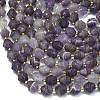 Natural Amethyst Beads Strands G-K389-D29-01-3