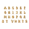 26Pcs Ion Plating(IP) 304 Stainless Steel Pendants STAS-M017-08G-M-1