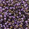 Glass Seed Beads SEED-H002-B-D214-3