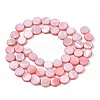 Freshwater Shell Beads Strands SHEL-T009-B16-02-2