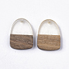 Transparent Resin & Walnut Wood Pendants RESI-Q210-005A-B01-2