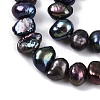 Natural Cultured Freshwater Pearl Beads Strands PEAR-L033-42D-4