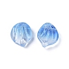 Transparent Glass Charms GLAA-H016-01A-2