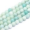 Natural Amazonite Beads Strands G-K310-A02-10mm-1