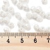 Baking Paint Glass Seed Beads X1-SEED-A032-02D-4