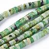 Natural Serpentine Beads Strands G-F612-03-2