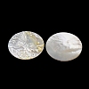 Natural White Shell Carved Cabochons SHEL-G024-01C-2