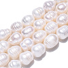 Natural Cultured Freshwater Pearl Beads Strands PEAR-N012-10D-4