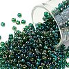 TOHO Round Seed Beads SEED-TR08-0179-1