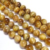 Natural Tiger Eye Beads Strands G-G544-12mm-01-1