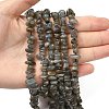 Natural Labradorite Beads Strands G-I225-15A-3
