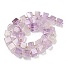 Natural Amethyst Beads Strands G-G053-B13-01C-3