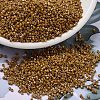 MIYUKI Delica Beads X-SEED-J020-DB2273-1