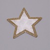 Glitter Hotfix Crystal Rhinestone DIY-WH0182-57A-2