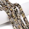 Natural Dalmatian Jasper Beads Strands G-T139-8x8-17A-1