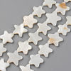 Natural Freshwater Shell Beads Strands SHEL-S276-85-1