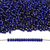 TOHO 11/0 Round Beads SEED-TR11-0028DF-4