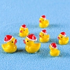 Mini Duck Resin Display Decorations FIND-SZC0013-345-3