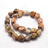 Natural Crazy Agate Beads Strands G-P301-04-2