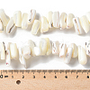 1 Strand Dyed Natural Trochus Shell Beads Strands SSHEL-PA0001-01B-3