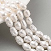 Natural Cultured Freshwater Pearl Beads Strands PEAR-P062-10C-2