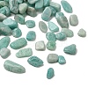 Natural Amazonite Chip Beads G-M364-04B-2