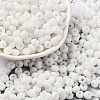 Baking Paint Glass Seed Beads SEED-C003-02K-1