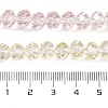 Transparent Painted Glass Beads Strands LS-DGLA-A034-T6mm-A25-3
