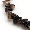 Chips Natural Smoky Quartz Beads Strands G-P030-03-2