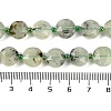 Natural Prehnite Beads Strands G-C116-A19-01-5