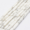 Natural Howlite Beads Strands X-G-E342-15-1