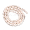 Opaque Solid Color Electroplate Glass Beads Strands EGLA-N013-P4mm-B08-2