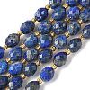 Dyed Natural Lapis Lazuli Beads Strands G-F809-A35-01-2