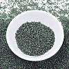 MIYUKI Delica Beads X-SEED-J020-DB0690-2