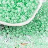 Glass Seed Beads SEED-A032-05E-1