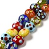 Handmade Lampwork Beads Strands LAMP-G154-08-2