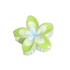 Resin Claw Hair Clips PW-WGCCCD9-04-1