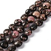 Natural Rhodonite Beads Strands G-T047-A19-01-1