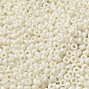 Baking Paint Glass Seed Beads SEED-P006-03A-06-3