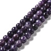 Natural Lepidolite/Purple Mica Stone Beads Strands G-B029-B03-03-1